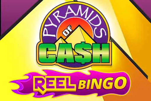 Pyramids Of Cash + Reel Bingo 